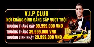 doc-quyen-vip-789win